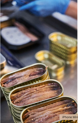 PUJADÓ SOLANO Cantabrian Anchovy Fillets 50g